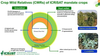 Research Program Genetic Gains (RPGG) Review Meeting 2021: Pre-breeding By Dr Hima Bindu K