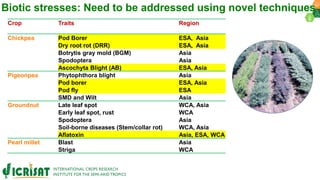 Research Program Genetic Gains (RPGG) Review Meeting 2021: Pre-breeding By Dr Hima Bindu K