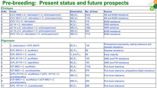 Research Program Genetic Gains (RPGG) Review Meeting 2021: Pre-breeding By Dr Hima Bindu K
