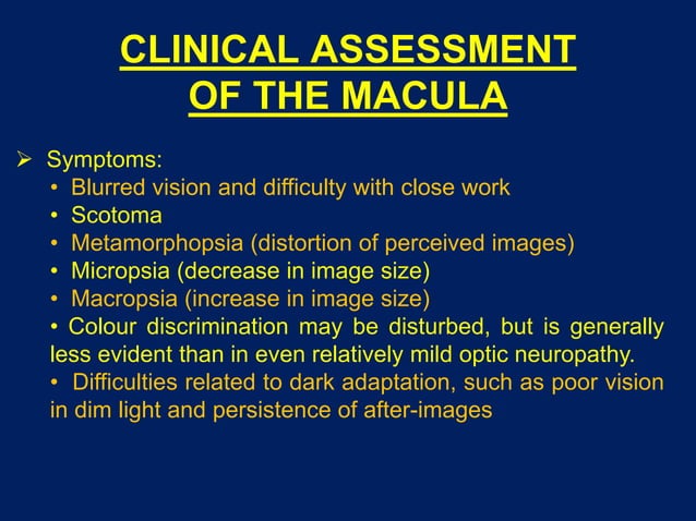 Macular function tests | PPT | Eye and Vision Conditions | Diseases and ...