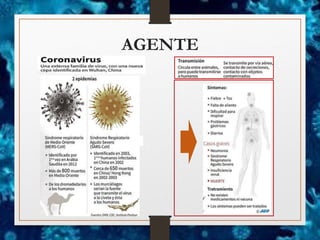 AGENTE
 