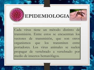 EPIDEMIOLOGIA
Cada virus tiene un método distinto de
transmisión. Entre estos se encuentran los
vectores de transmisión, que son otros
organismos que los transmiten entre
portadores. Los virus animales se suelen
propagar de vertebrado a vertebrado por
medio de insectos hematófagos.
 