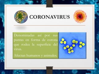 CORONAVIRUS
Denominadas así por sus
puntas en forma de corona
que rodea la superficie del
virus.
Afectan humanos y animales.
 