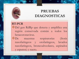 PRUEBAS
DIAGNOSTICAS
RT-PCR
❖Del gen RdRp que detecta y amplifica una
región conservada común a todos los
betacoronavirus.
❖De muestras respiratorias (frotis
nasofaríngeos y orofaríngeos, lavados
nasofaríngeos, broncoalveolares, aspirados
y esputos) y suero.
 
