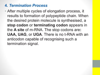 4. Termination Process
• After multiple cycles of elongation process, it
results to formation of polypeptide chain. When
the desired protein molecule is synthesised, a
stop codon or terminating codon appears in
the A site of m-RNA. The stop codons are:
UAA, UAG, or UGA. There is no t-RNA with an
anticodon capable of recognising such a
termination signal.
 