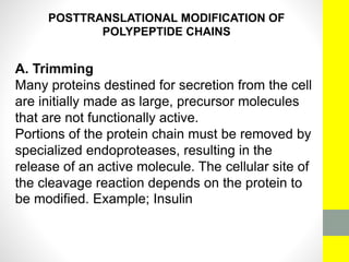POSTTRANSLATIONAL MODIFICATION OF
POLYPEPTIDE CHAINS
A. Trimming
Many proteins destined for secretion from the cell
are initially made as large, precursor molecules
that are not functionally active.
Portions of the protein chain must be removed by
specialized endoproteases, resulting in the
release of an active molecule. The cellular site of
the cleavage reaction depends on the protein to
be modified. Example; Insulin
 
