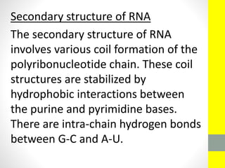 Secondary structure of RNA
The secondary structure of RNA
involves various coil formation of the
polyribonucleotide chain. These coil
structures are stabilized by
hydrophobic interactions between
the purine and pyrimidine bases.
There are intra-chain hydrogen bonds
between G-C and A-U.
 