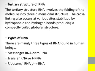 • Tertiary structure of RNA
The tertiary structure RNA involves the folding of the
molecule into three dimensional structure. The cross-
linking also occurs at various sites stabilized by
hydrophobic and hydrogen bonds producing a
compactly coiled globular structure.
• Types of RNA
There are mainly three types of RNA found in human
beings.
• Messenger RNA or m-RNA
• Transfer RNA or t-RNA
• Ribosomal RNA or r-RNA
 