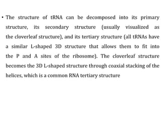 • The structure of tRNA can be decomposed into its primary
structure, its secondary structure (usually visualized as
the cloverleaf structure), and its tertiary structure (all tRNAs have
a similar L-shaped 3D structure that allows them to fit into
the P and A sites of the ribosome). The cloverleaf structure
becomes the 3D L-shaped structure through coaxial stacking of the
helices, which is a common RNA tertiary structure
 