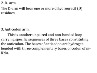 2. D- arm.
The D-arm will bear one or more dihydrouracil (D)
residues.
3. Anticodon arm.
This is another unpaired and non-bonded loop
carrying specific sequences of three bases constituting
the anticodon. The bases of anticodon are hydrogen
bonded with three complementary bases of codon of m-
RNA.
 