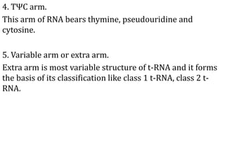 4. TΨC arm.
This arm of RNA bears thymine, pseudouridine and
cytosine.
5. Variable arm or extra arm.
Extra arm is most variable structure of t-RNA and it forms
the basis of its classification like class 1 t-RNA, class 2 t-
RNA.
 