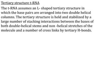 Tertiary structure t-RNA
The t-RNA assumes an L- shaped tertiary structure in
which the base pairs are arranged into two double helical
columns. The tertiary structure is held and stabilized by a
large number of stacking interactions between the bases of
both double-helical stems and non -helical stretches of the
molecule and a number of cross links by tertiary H-bonds.
 