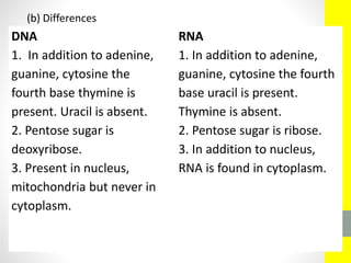 DNA RNA
1. In addition to adenine,
guanine, cytosine the
fourth base thymine is
present. Uracil is absent.
2. Pentose sugar is
deoxyribose.
3. Present in nucleus,
mitochondria but never in
cytoplasm.
1. In addition to adenine,
guanine, cytosine the fourth
base uracil is present.
Thymine is absent.
2. Pentose sugar is ribose.
3. In addition to nucleus,
RNA is found in cytoplasm.
(b) Differences
 