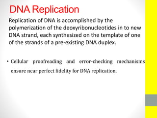 DNA Replication
Replication of DNA is accomplished by the
polymerization of the deoxyribonucleotides in to new
DNA strand, each synthesized on the template of one
of the strands of a pre-existing DNA duplex.
• Cellular proofreading and error-checking mechanisms
ensure near perfect fidelity for DNA replication.
 