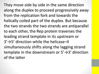 They move side by side in the same direction
along the duplex to proceed progressively away
from the replication fork and towards the
helically coiled part of the duplex. But because
the two strands the two strands are antiparallel
to each other, the Rep protein traverses the
leading strand template in its upstream or
3’→5’ direction while the helicase–II
simultaneously shifts along the lagging strand
template in the downstream or 5’→3’ direction
of the latter
 