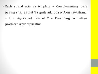 • Each strand acts as template – Complementary base
pairing ensures that T signals addition of A on new strand,
and G signals addition of C – Two daughter helices
produced after replication
 