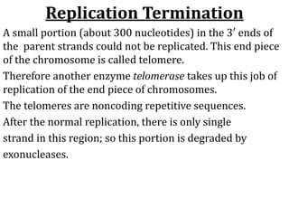 Replication Termination
A small portion (about 300 nucleotides) in the 3′ ends of
the parent strands could not be replicated. This end piece
of the chromosome is called telomere.
Therefore another enzyme telomerase takes up this job of
replication of the end piece of chromosomes.
The telomeres are noncoding repetitive sequences.
After the normal replication, there is only single
strand in this region; so this portion is degraded by
exonucleases.
 