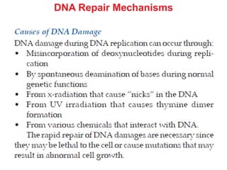 DNA Repair Mechanisms
 