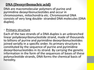 DNA(Deoxyribonucleicacid)
DNA are macromolecular polymers of purine and
pyrimidine deoxyribonucleotides and occur in
chromosomes, mitochondria etc. Chromosomal DNA
consists of very long double- stranded DNA molecules (DNA
duplex).
• Primary structure
Each of the two strands of a DNA duplex is an unbranched
linear polydeoxyribonucleotide strand, made of thousands
to billions of purine and pyrimidine deoxyribonucleotides
joined serially in a specific order. Its primary structure is
constituted by the sequence of purine and pyrimidine
deoxyribonucleotides in its strand. By carrying the genetic
information in the form of the sequences of bases of these
polynucleotide strands, DNA forms the chemical basis of
heredity.
 