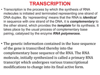 TRANSCRIPTION
• Transcription is the process by which the synthesis of RNA
molecules is initiated and terminated representing one strand of
DNA duplex. By ‘representing’ means that the RNA is identical
in sequence with one strand of the DNA, it is complementary to
the other strand, which provides the template for its synthesis. It
takes place by the usual process of complementary base
pairing, catalysed by the enzyme RNA polymerase.
• The genetic information contained in the base sequence
of the gene is transcribed thereby into the
complementary base sequence of the RNA. The RNA
molecule, initially synthesized is called a primary RNA
transcript which undergoes various transcriptional
modifications to change into its final active form.
 