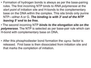 • Formation of hydrogen bonds is always as per the base-pairing
rules. The first incoming NTP binds to RNA polymerase at the
start point of initiation site and H-bonds to the complementary
base on the DNA within the complex. This site binds only purine
NTP—either A or G. The binding is with 3’ end of the NTP
leaving 5’ end to be free.
• The second incoming NTP binds to the elongation site on the
polymerase. The NTP is selected as per base-pair rule which can
H-bond with complementary base on DNA.
• After this phosphodiester bond formation the sigma- factor is
released. First base is then dissociated from initiation site and
that marks the completion of initiation.
 
