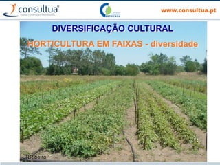 102
DIVERSIFICAÇÃO CULTURAL
HORTICULTURA EM FAIXAS - diversidade
 