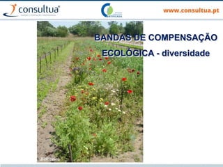 BANDAS DE COMPENSAÇÃO
ECOLÓGICA - diversidade
 