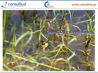 CHARCOS - diversidade
 
