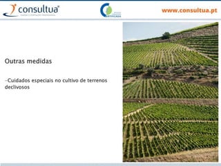 Outras medidas
-Cuidados especiais no cultivo de terrenos
declivosos
 