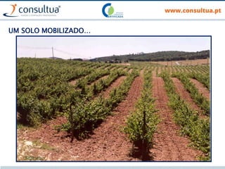 UM SOLO MOBILIZADO…
 