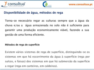 Disponibilidade de água, métodos de rega
Torna-se necessário regar as culturas sempre que a água da
chuva e/ou a água armazenada no solo não é suficiente para
garantir uma produção economicamente viável, fazendo a sua
gestão de uma forma eficiente.
Métodos de rega de superfície
Existem vários sistemas de rega de superfície, distinguindo-se os
sistemas em que há escorrimento da água à superfície (rega por
sulcos, e faixas) dos sistemas em que há submersão da superfície
a regar (rega em canteiros, em caldeiras).
 