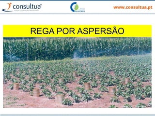 REGA POR ASPERSÃO
 