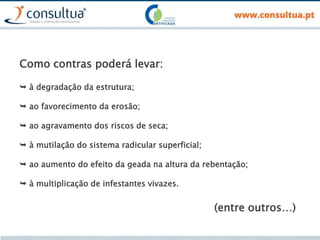 Como contras poderá levar:
 à degradação da estrutura;
 ao favorecimento da erosão;
 ao agravamento dos riscos de seca;
 à mutilação do sistema radicular superficial;
 ao aumento do efeito da geada na altura da rebentação;
 à multiplicação de infestantes vivazes.
(entre outros…)
 