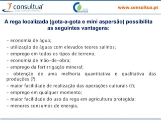 A rega localizada (gota-a-gota e mini aspersão) possibilita
as seguintes vantagens:
- economia de água;
- utilização de águas com elevados teores salinos;
- emprego em todos os tipos de terreno;
- economia de mão-de-obra;
- emprego da fertirrigação mineral;
- obtenção de uma melhoria quantitativa e qualitativa das
produções (?);
- maior facilidade de realização das operações culturais (?);
- emprego em qualquer momento;
- maior facilidade do uso da rega em agricultura protegida;
- menores consumos de energia.
 