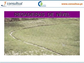 REGADEIRAS DE NÍVEL
 
