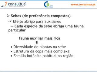  Sebes (de preferência compostas)
 Efeito abrigo para auxiliares
— Cada espécie da sebe abriga uma fauna
particular
fauna auxiliar mais rica

 Diversidade de plantas na sebe
 Estrutura da copa mais complexa
 Família botânica habitual na região
 