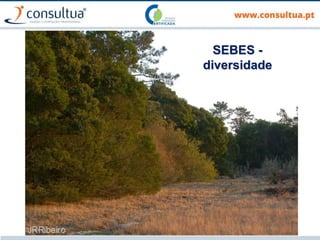 98
SEBES -
diversidade
 