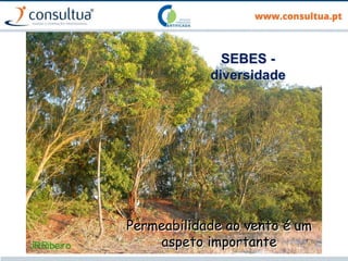 99
SEBES -
diversidade
Permeabilidade ao vento é um
aspeto importante
 