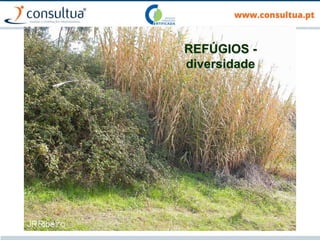 100
REFÚGIOS -
diversidade
 