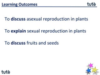 12. 7th cbse reproduction in plants | PPTX