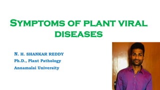 Symptoms of plant viral
diseases
N. H. SHANKAR REDDY
Ph.D., Plant Pathology
Annamalai University
 