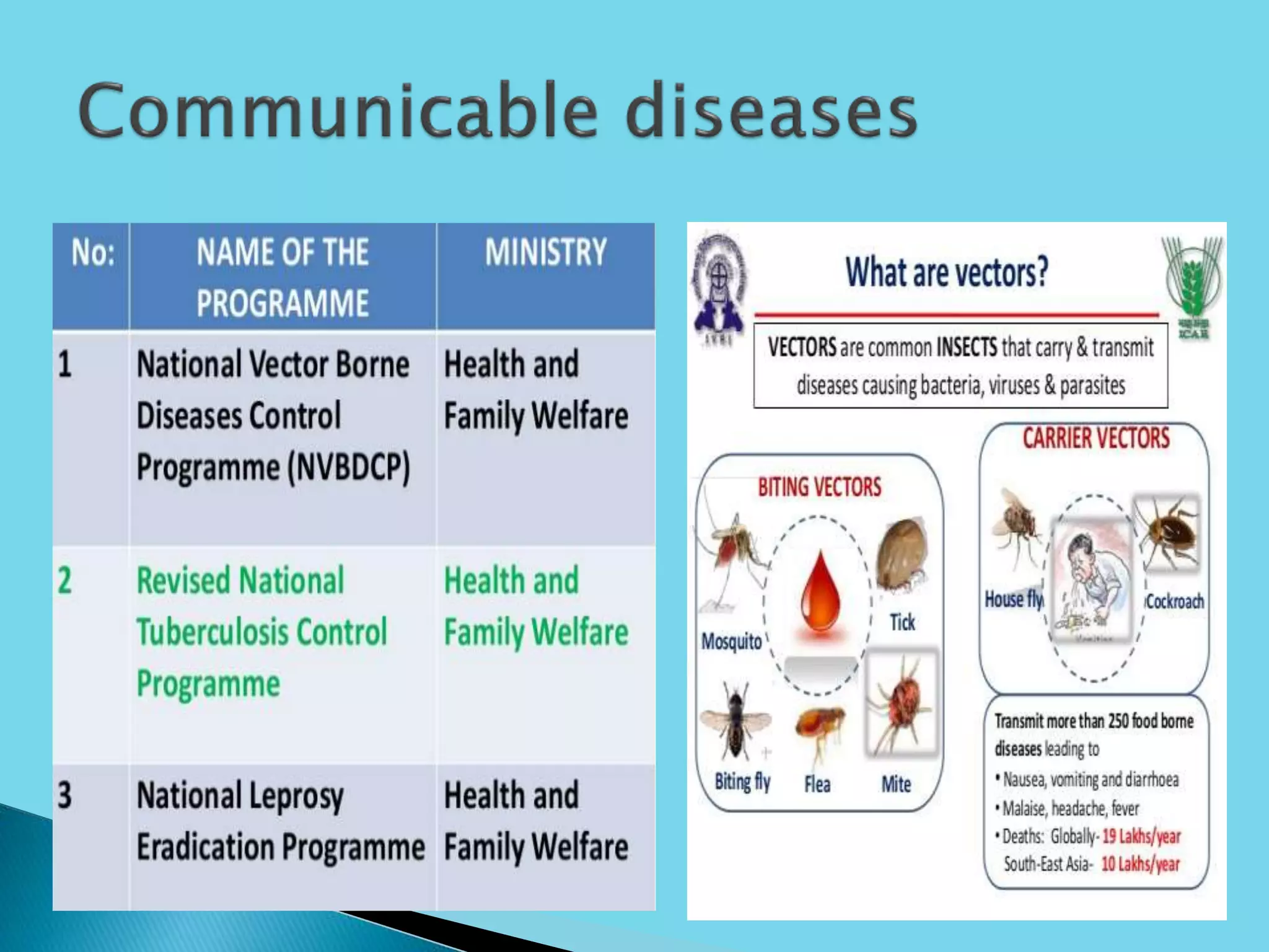 National Health Policy In India PPTX national-health-policy-in-india-pptx