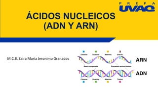 ÁCIDOS NUCLEICOS
(ADN Y ARN)
M.C.B. Zaira María Jeronimo Granados
 