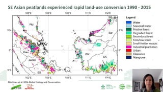SE Asian peatlands experienced rapid land-use conversion 1990 - 2015
Miettinen et al. 2016 Global Ecology and Conservation
 