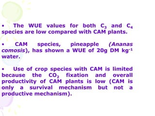 • The WUE values for both C3 and C4
species are low compared with CAM plants.
• CAM species, pineapple (Ananas
comosis), has shown a WUE of 20g DM kg-1
water.
• Use of crop species with CAM is limited
because the CO2 fixation and overall
productivity of CAM plants is low (CAM is
only a survival mechanism but not a
productive mechanism).
 