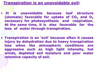 Transpiration is an unavoidable evil:
• It is unavoidable because leaf structure
(stomata) favorable for uptake of CO2 and O2
necessary for photosynthesis and respiration.
At the same time, it is also favorable for the
loss of water through transpiration.
• Transpiration is an ‘evil’ because often it causes
injury by dehydration due to heavy transpiration
loss when the atmospheric conditions are
aggressive such as high light intensity, hot
winds, depleted soil moisture and poor water
retentive capacity of soil.
 