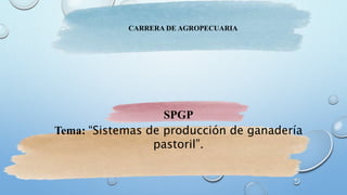 CARRERA DE AGROPECUARIA
SPGP
Tema: “Sistemas de producción de ganadería
pastoril”.
 