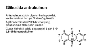 Glikosida antrakuinon
Antrakuinon adalah pigmen kuning-coklat,
konformasinya berupa O atau C-glikosida
Aglikon terdiri dari 2/lebih fenol yang
dihubungkan oleh cincin kuinon
Gugus hidroksil selalu pada posisi 1 dan 8 
1,8-dihidroantrakuinon
 