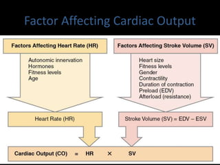 Factor Affecting Cardiac Output
 