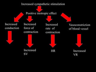 Increased sympathetic stimulation
Positive inotropic effect
Increased
force of
contraction
Increased
rate of
contraction
Vasoconstriction
of blood vessel
Increased
conduction
Increased
SV
HR Increased
VR
 